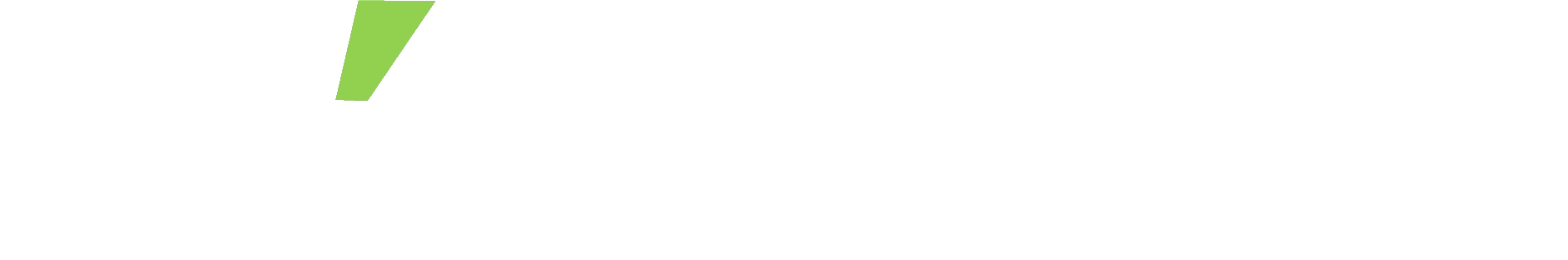 The Leisung logo: bold wordmark with a green accent